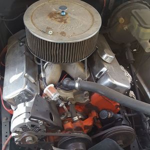 Meet your Posher, Gavin